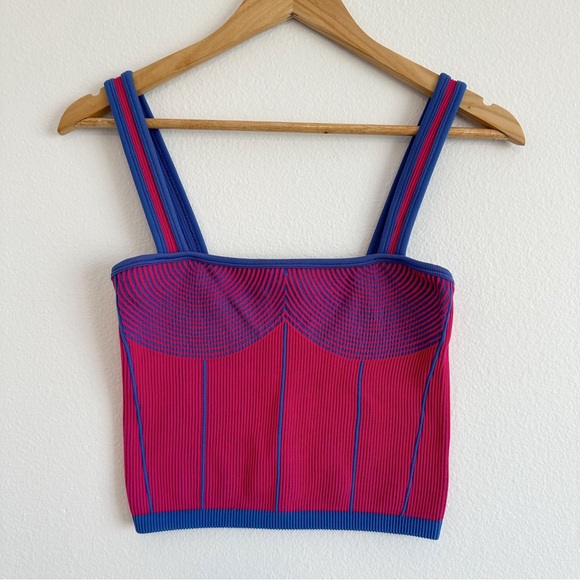 Zara Tops - Zara Pink & Blue Stretchy Corset Tank